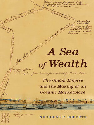 cover image of A Sea of Wealth